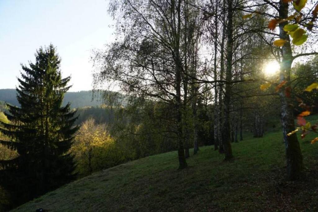 Ruhiges Ferienhaus Am Waldrand Mit Sauna Und Kamin - Hellaberg II Langenbach  Eksteriør bilde